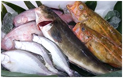 �N��3000�~�R�[�X