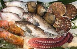 �N��5000�~�R�[�X